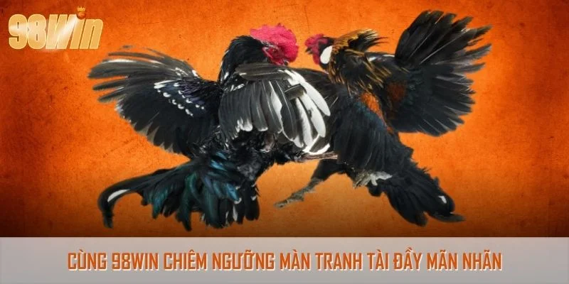 Cùng 98Win chiêm ngưỡng màn tranh tài đầy mãn nhãn
