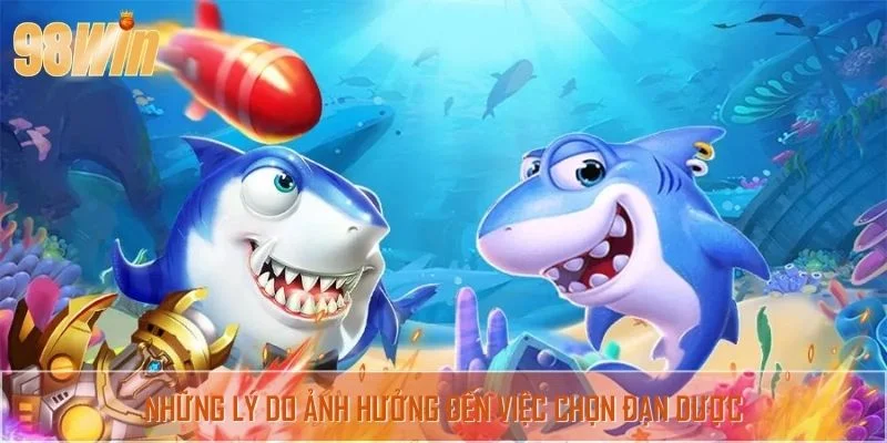 Những lý do ảnh hưởng đến việc chọn đạn dược