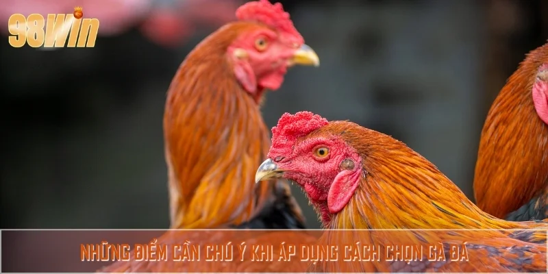 Các nguyên tắc cần ghi nhớ khi chọn chiến kê