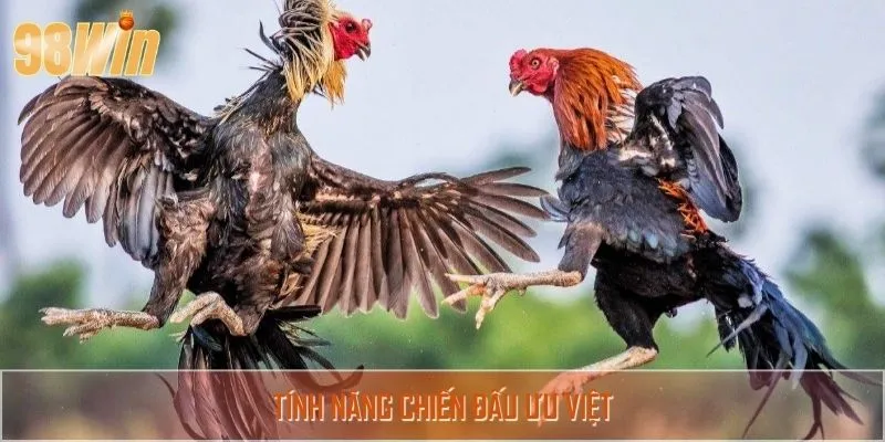 Khả năng chiến đấu tốt